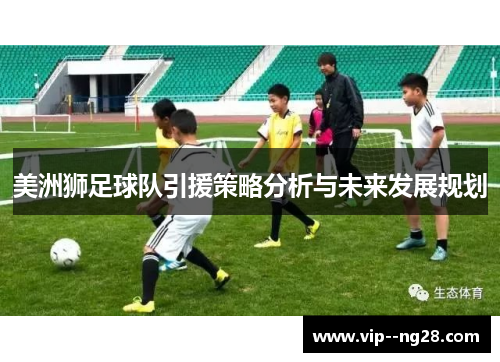 美洲狮足球队引援策略分析与未来发展规划