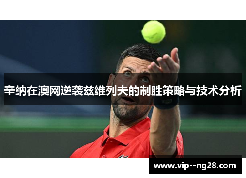 辛纳在澳网逆袭兹维列夫的制胜策略与技术分析