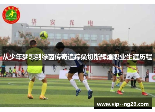 从少年梦想到绿茵传奇追踪桑切斯辉煌职业生涯历程