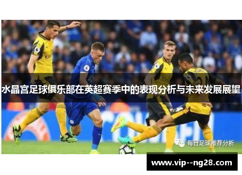 水晶宫足球俱乐部在英超赛季中的表现分析与未来发展展望