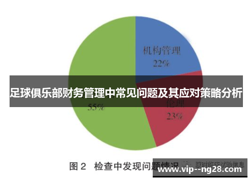 足球俱乐部财务管理中常见问题及其应对策略分析